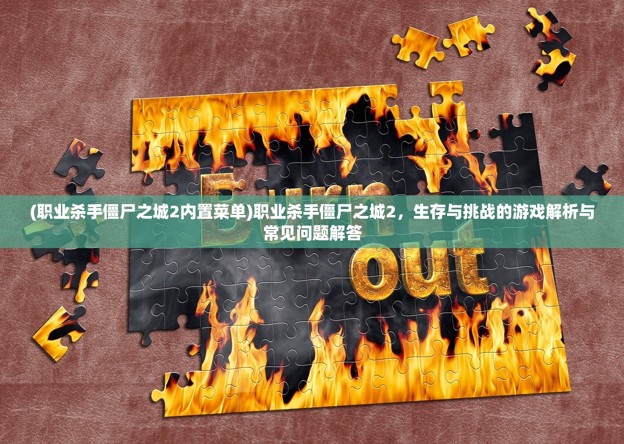 (职业杀手僵尸之城2内置菜单)职业杀手僵尸之城2,生存与挑战的游戏解析与常见问题解答 (职业杀手僵尸之城2内置菜单)职业杀手僵尸之城2,生存与挑战的游戏解析与常见问题解答