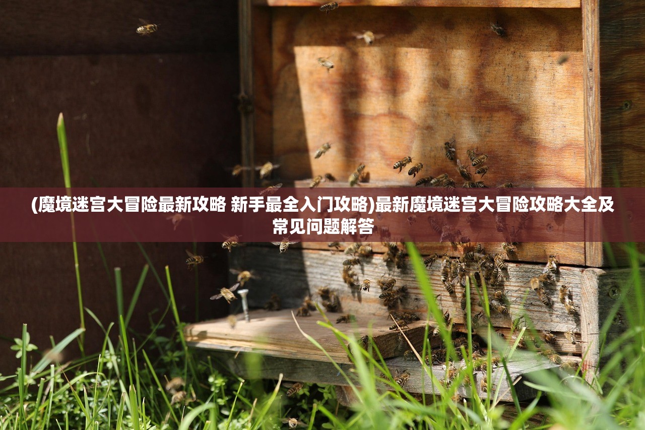 (魔境迷宫大冒险最新攻略 新手最全入门攻略)最新魔境迷宫大冒险攻略大全及常见问题解答