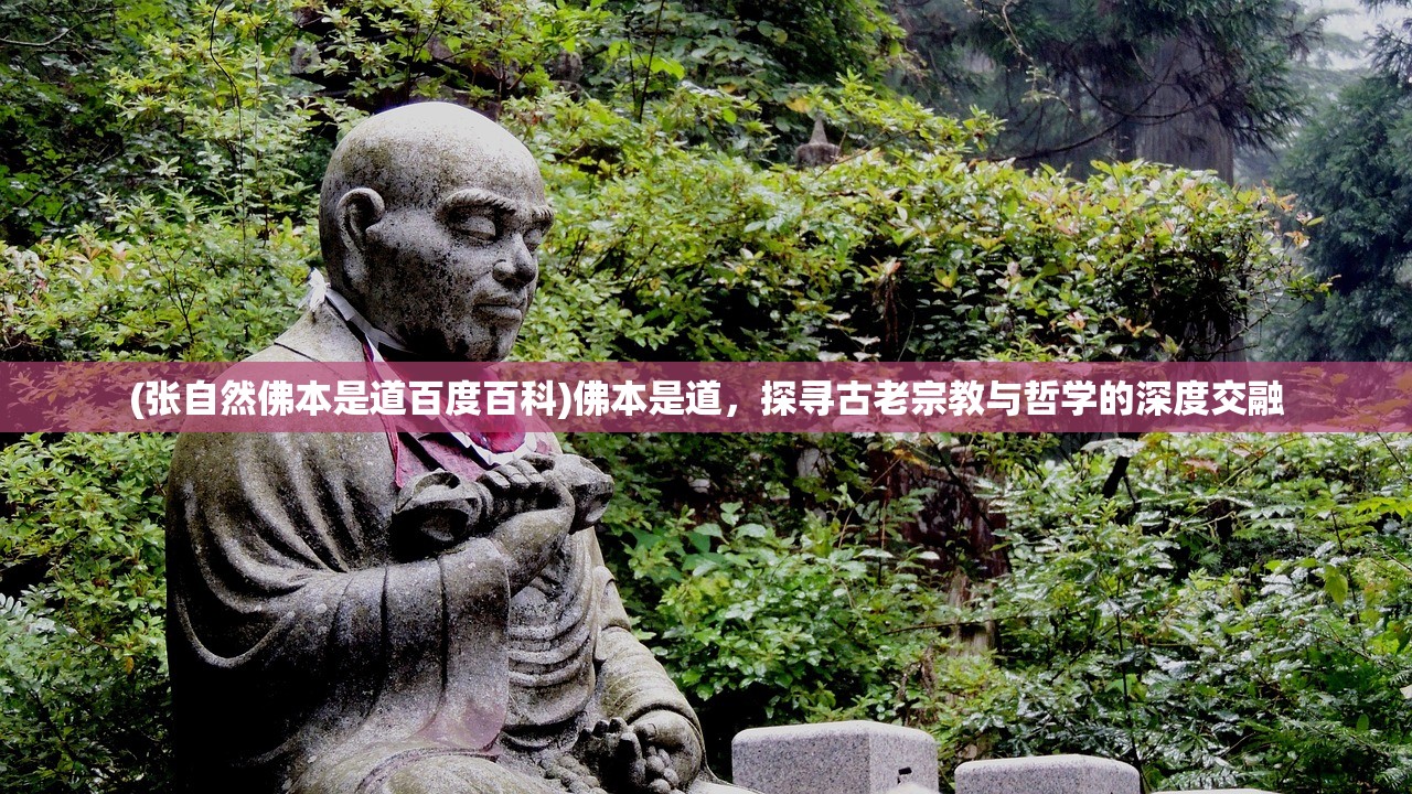 (张自然佛本是道百度百科)佛本是道，探寻古老宗教与哲学的深度交融
